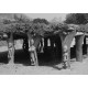 Grand poteau de case Toguna - Dogon - Mali - 170cm